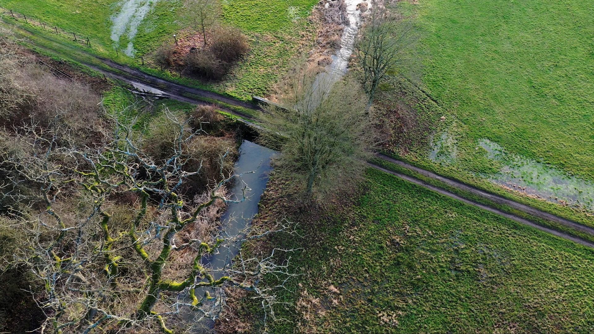 Hermeandering van rechte beek