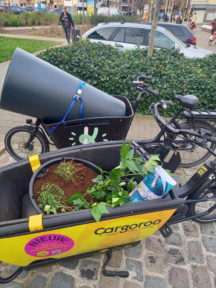 (c) Klimplant. Klimaatvriendelijk onderweg. 