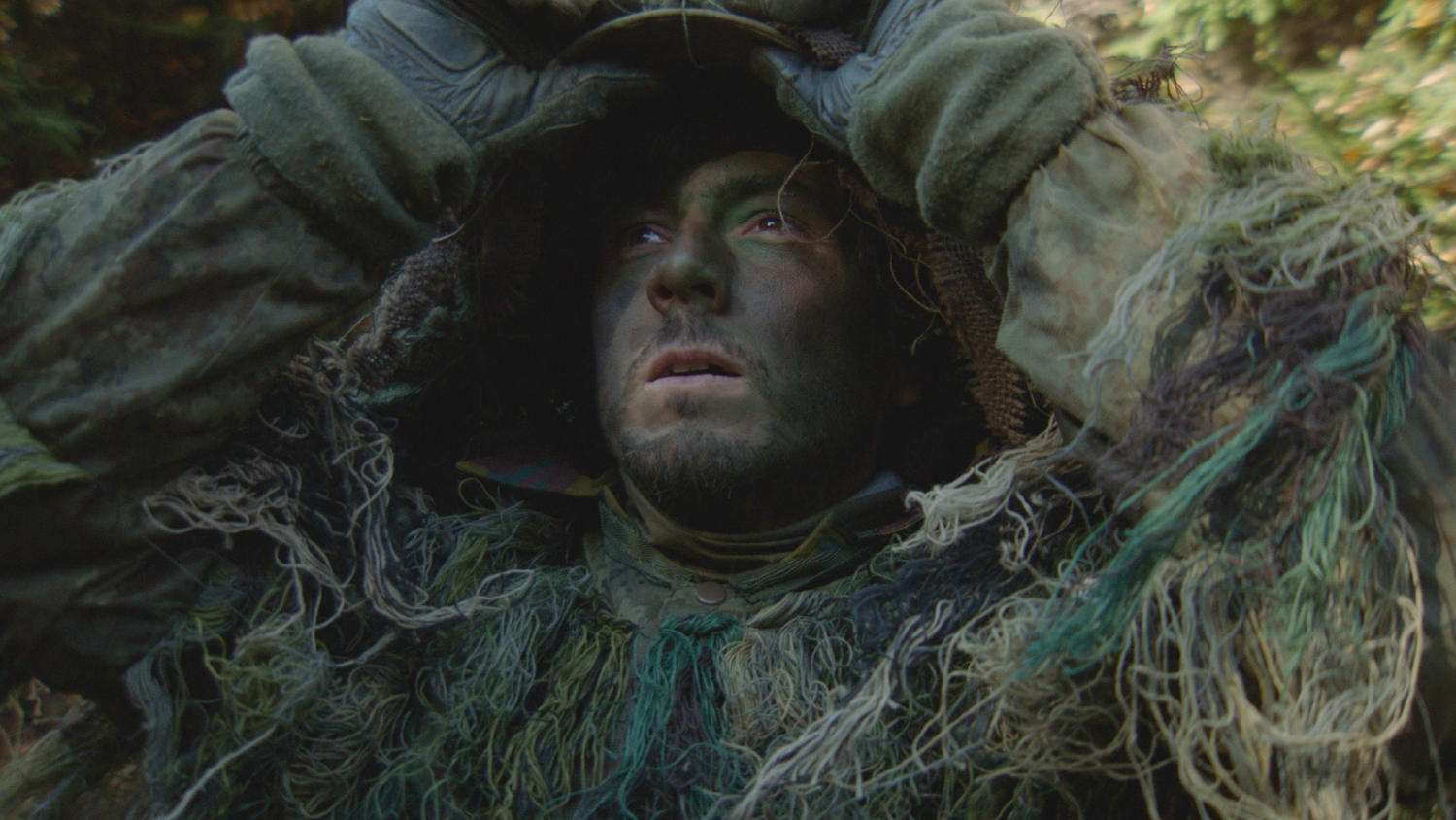 Aflevering 7: de zeekat-camouflage