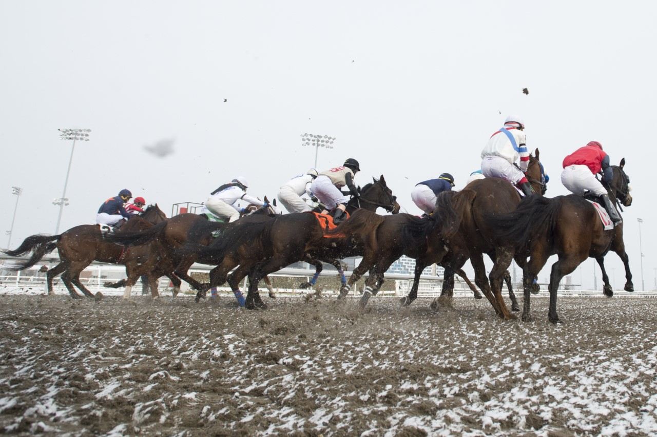 Race 6 on closing day 2022 at Woodbine (Michael Burns Photo)