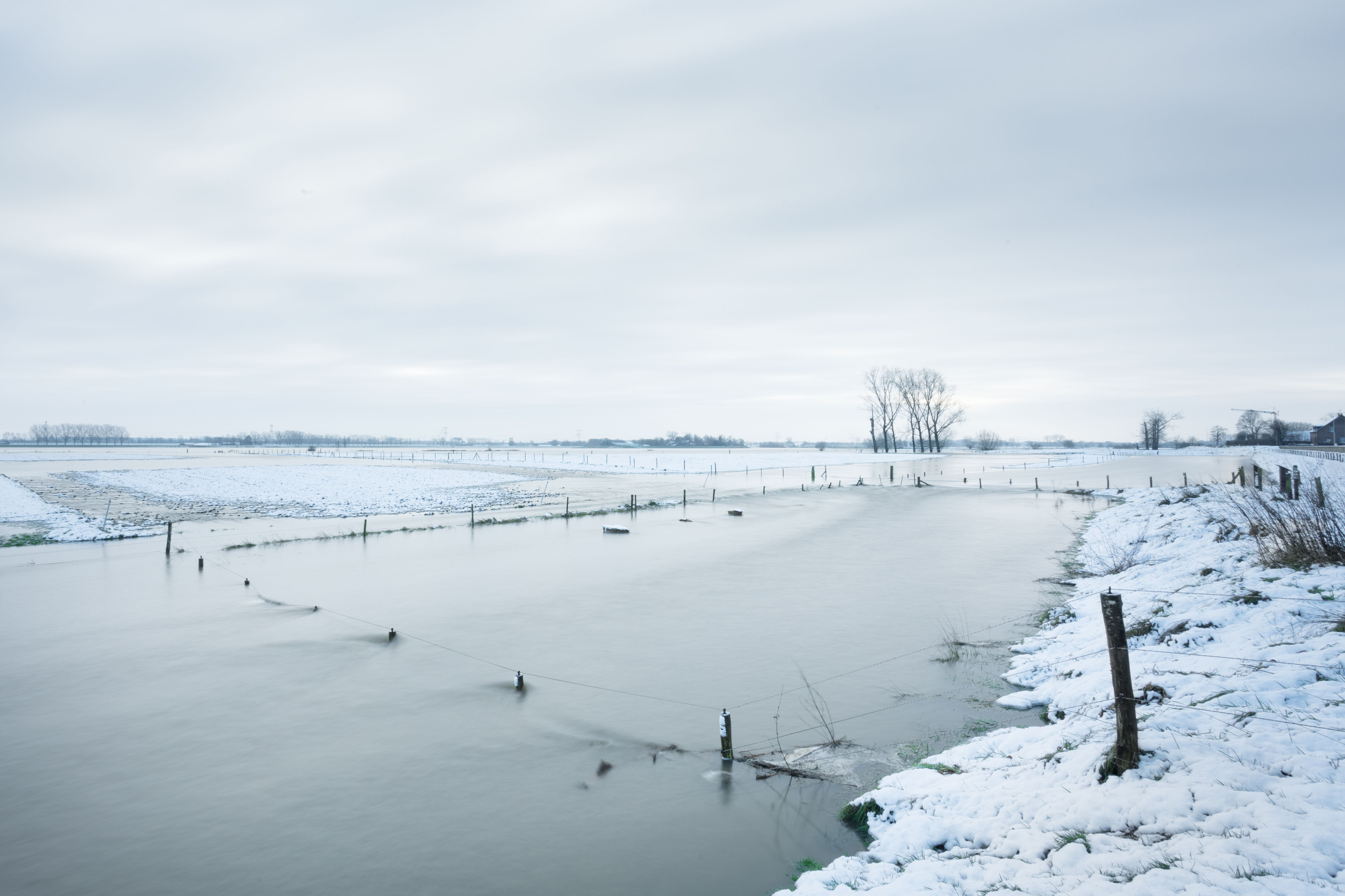 Maarten Inghels. Save Our Souls, jan 2025 © Lieven Geuns