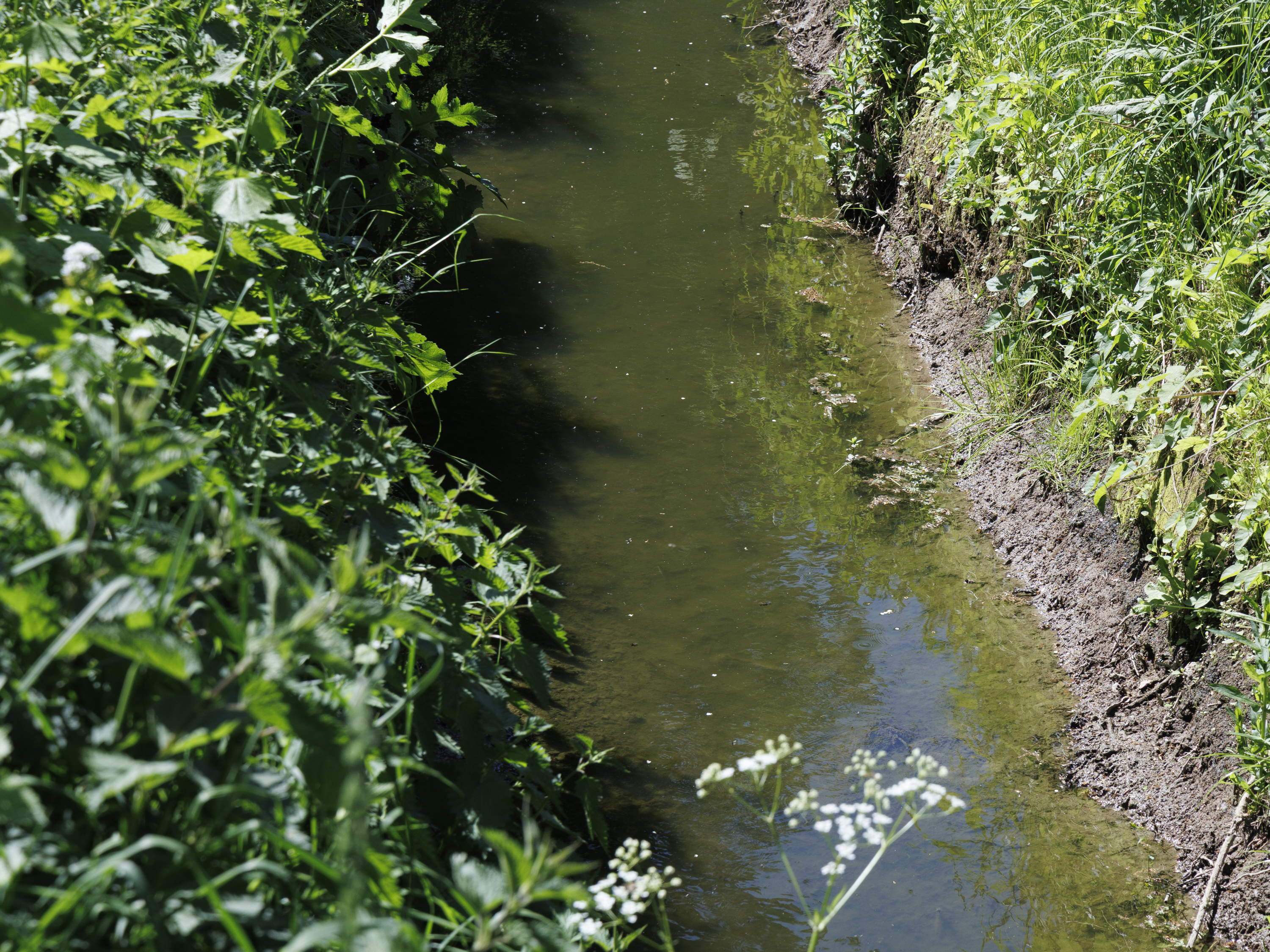 Flemish government agrees on extension of Blue Deal to tackle floods and drought