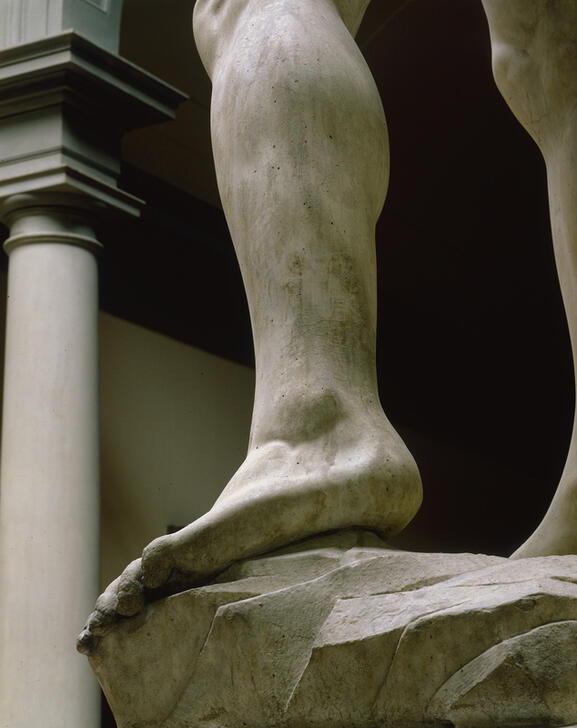 "David"  (detail). AKG244431 © akg-images / Rabatti & Domingie