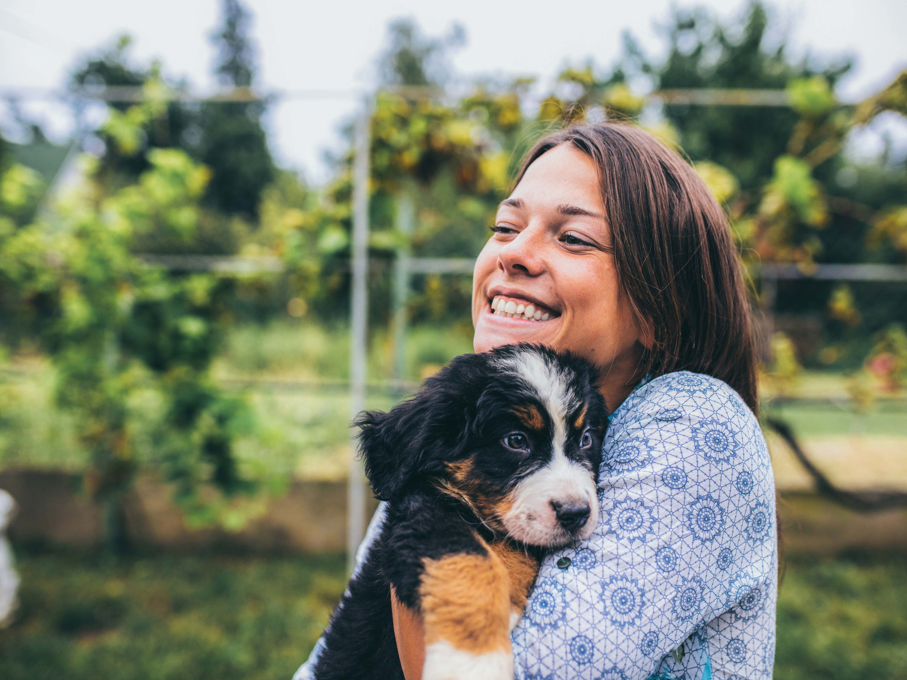 Pedigree® en Het Blauwe Kruis bundelen hun krachten om asieldieren online in de kijker te zetten