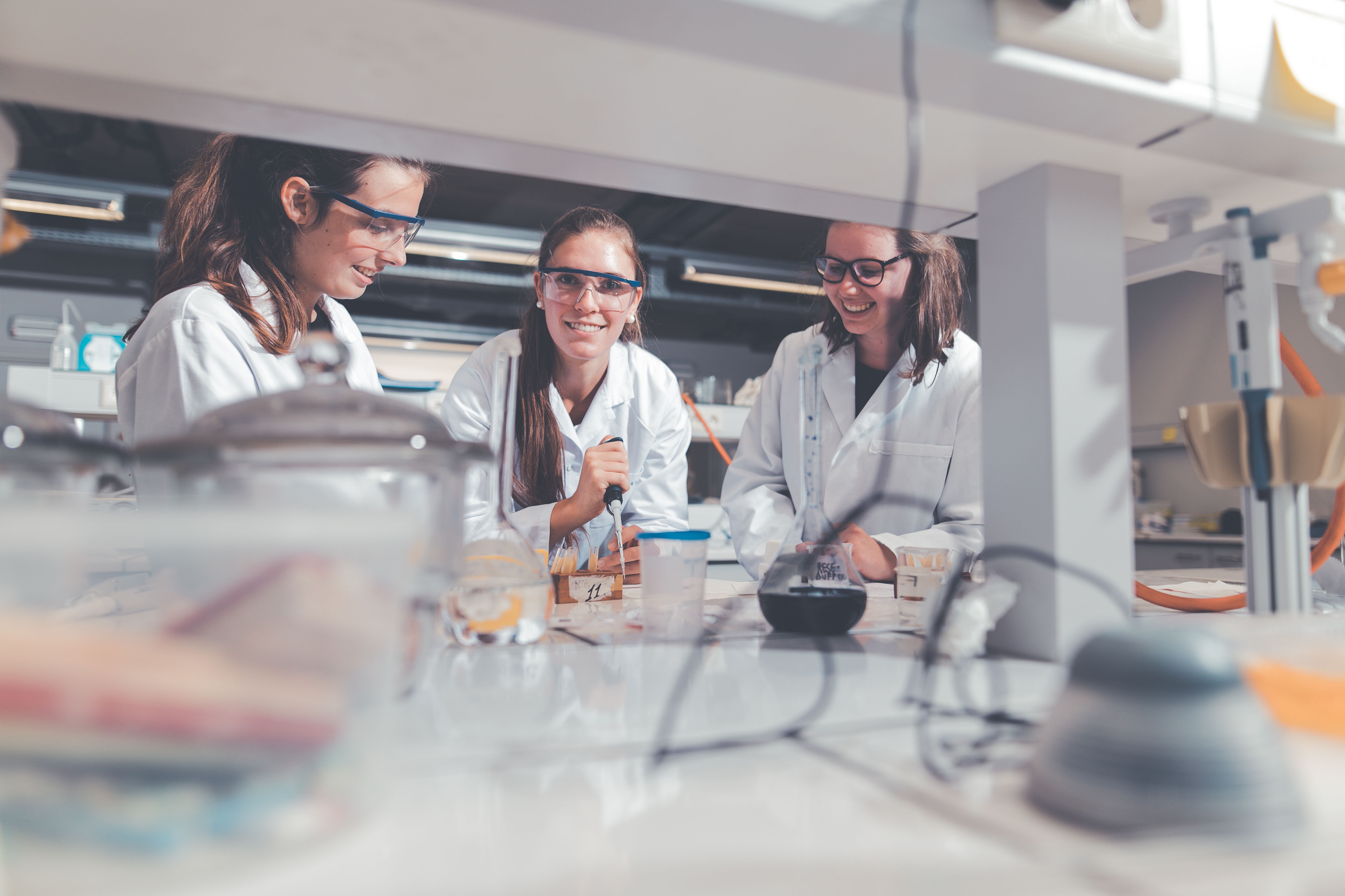 De opleiding Biomedische laboratoriumtechnologie gaat er 8 % op vooruit.