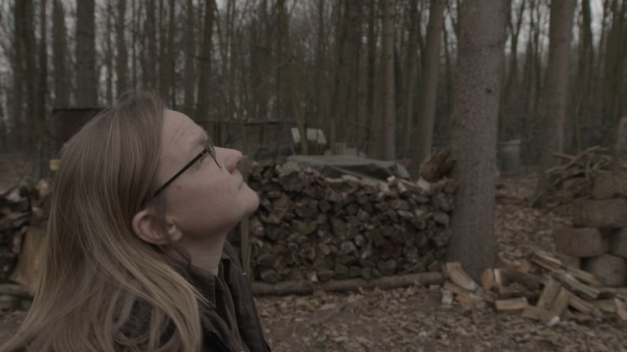 Koppen: orkaan Roger (c) VRT