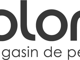 6 conseils de bricolage pour un intérieur printanier avec colora et BOSS paints