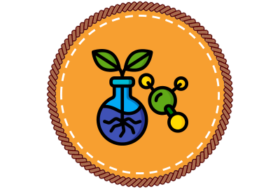 An example of a badge: Nepris Virtual Summer Camp - STEM High School