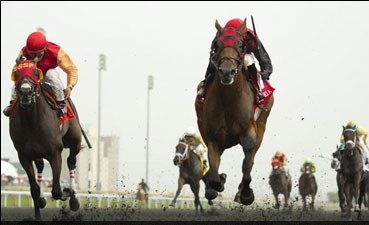 Midnight Aria (inside) powers ahead to capture the 2013 edition of the Queen's Plate at Woodbine. (Michael Burns Photo) 