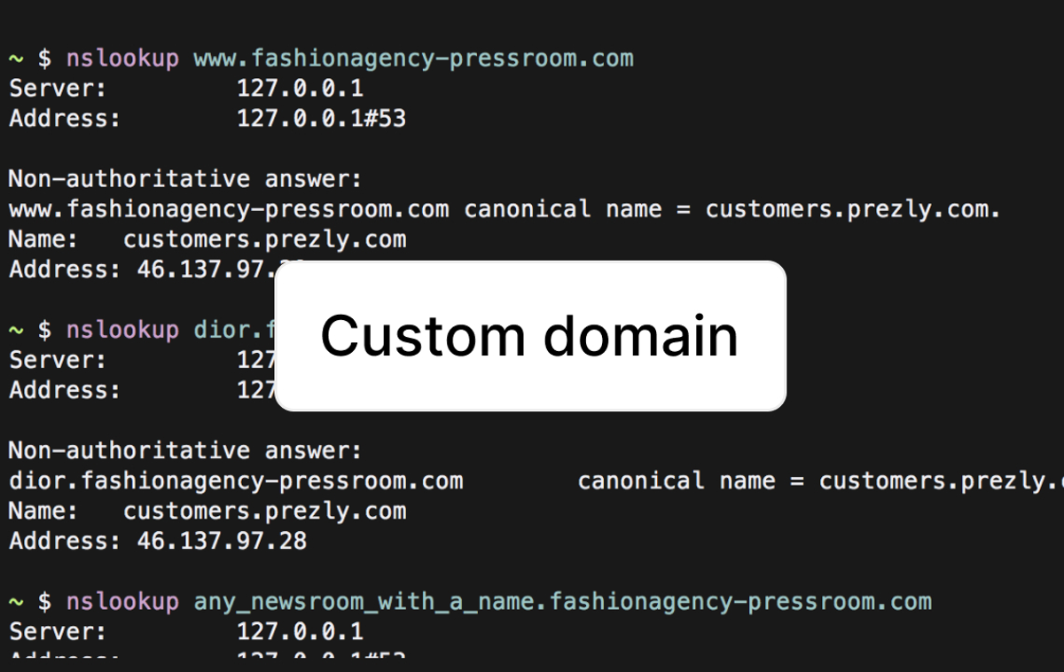 Custom domain for multiple newsrooms/clients