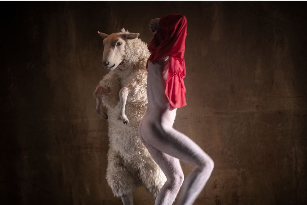 FC Bergman/Toneelhuis - The Sheep Song 12>13/05 © Kurt van der Elst 1