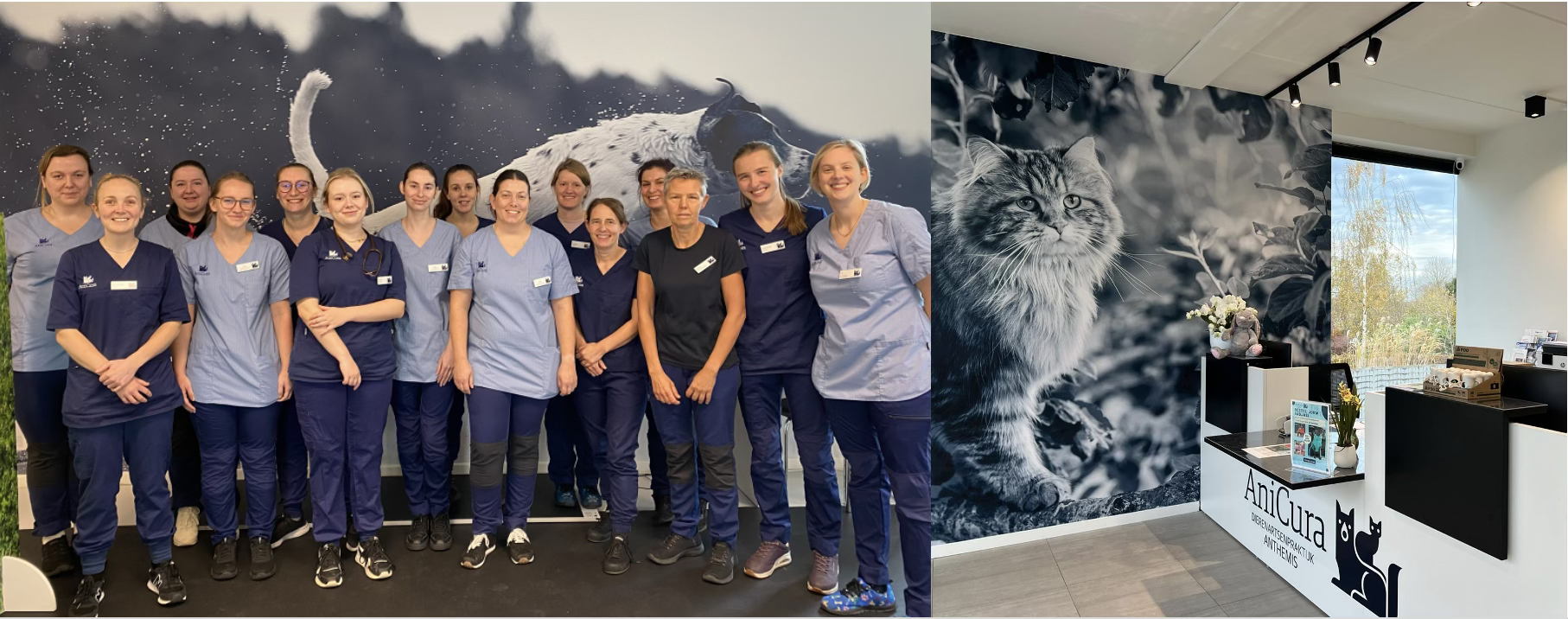 AniCura opent nieuwe dierenartsenpraktijk in Grimbergen