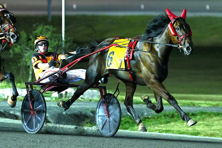 Oh Look Magic and Matt Bax winning a Wellwood Memorial elimination. (New Image Media)