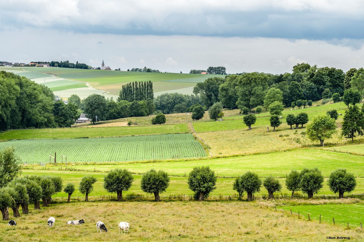 Landschap Vlaamse Ardennen