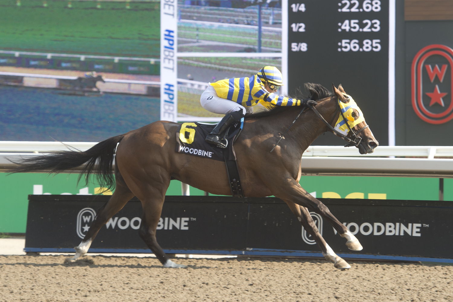 Patches O’Houlihan and Sofia Vives winning the 2024 Pink Lloyd Stakes at Woodbine (Michael Burns Photo)