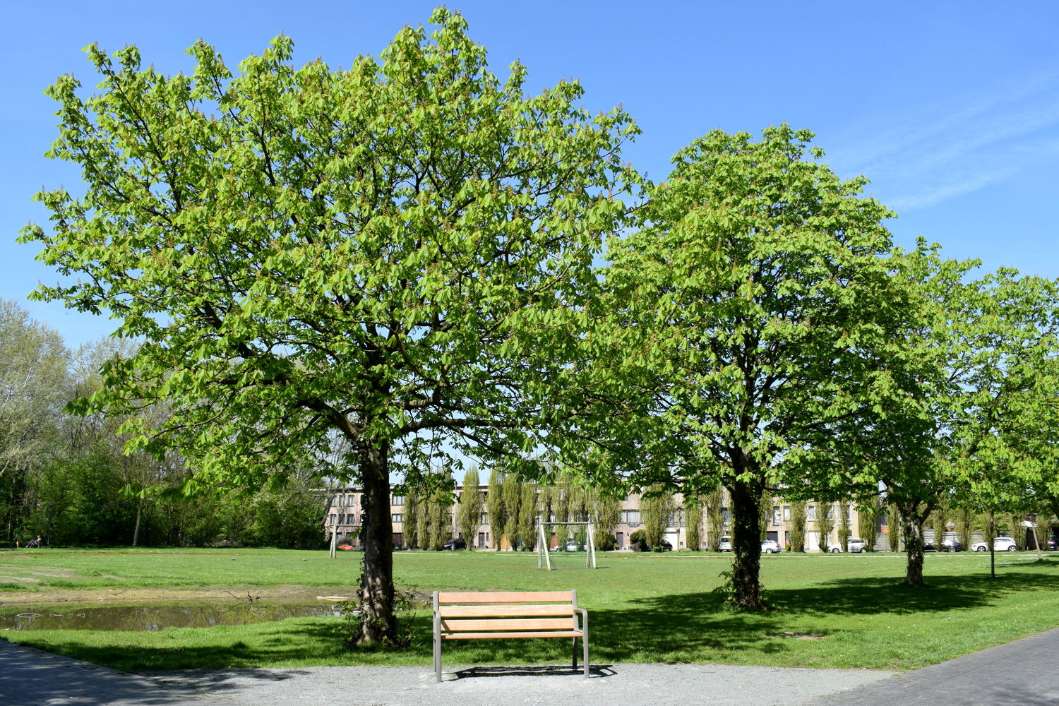 Distelhoek