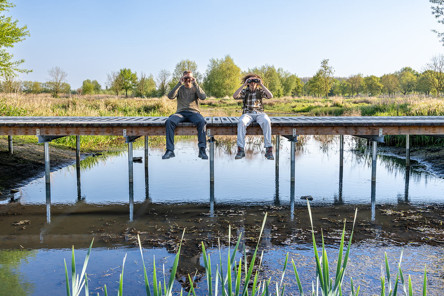 Vogels spotten op een nieuwe vlonder in de Assebroekse meersen Vogels spotten op een nieuwe vlonder in de Assebroekse meersen