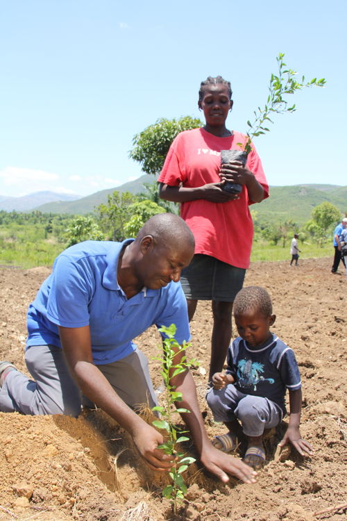 Haiti Tree Planting - Credit: Sebastian Petion