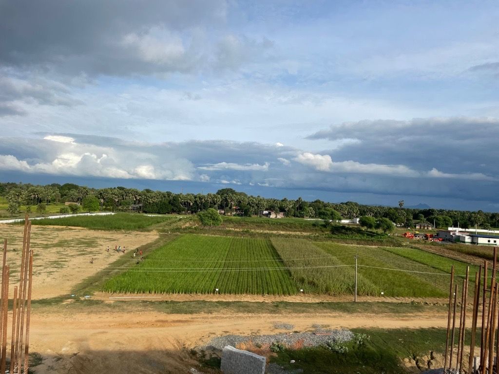 Experimental plots at Gaya, Bihar