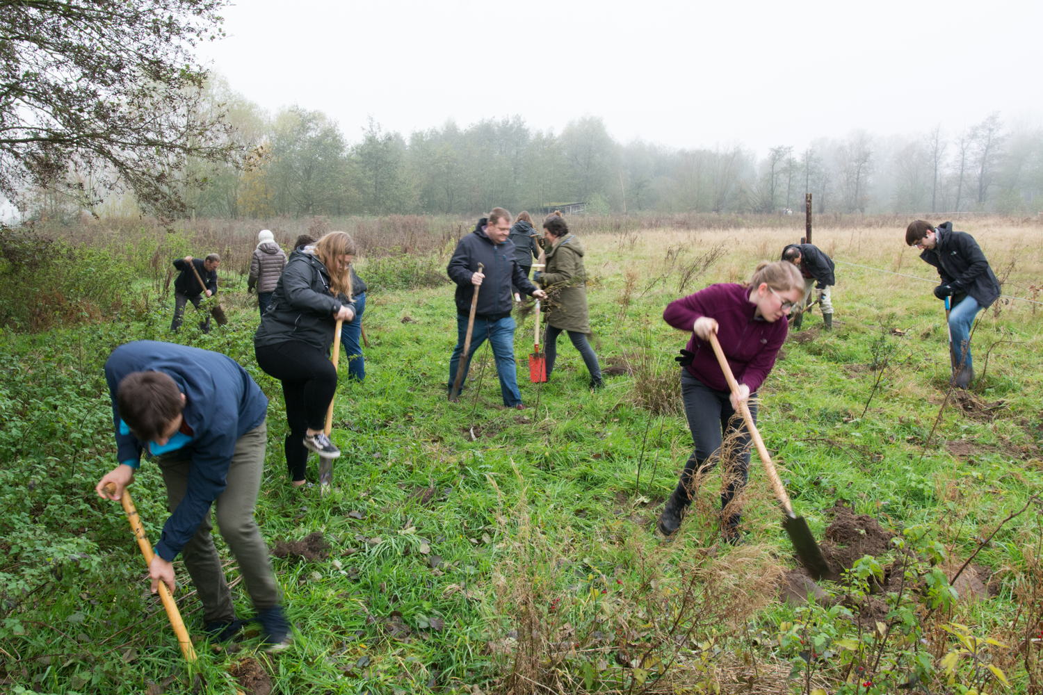 Vrijwilligers werken samen aan domein Rijvissche - vzw Natuurpunt - copyright Marino Ravier