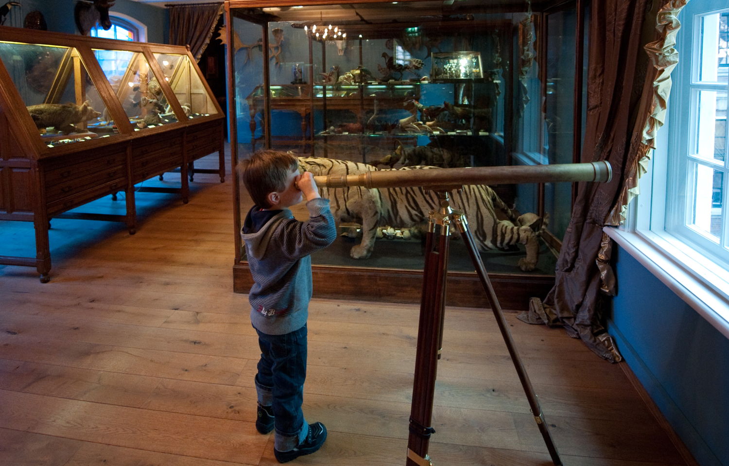 Natuurmuseum, ©Theo de Witte