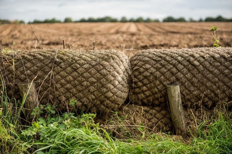 Kokosbalendam in Oost-Vlaanderen (copyright: Peter Maris)