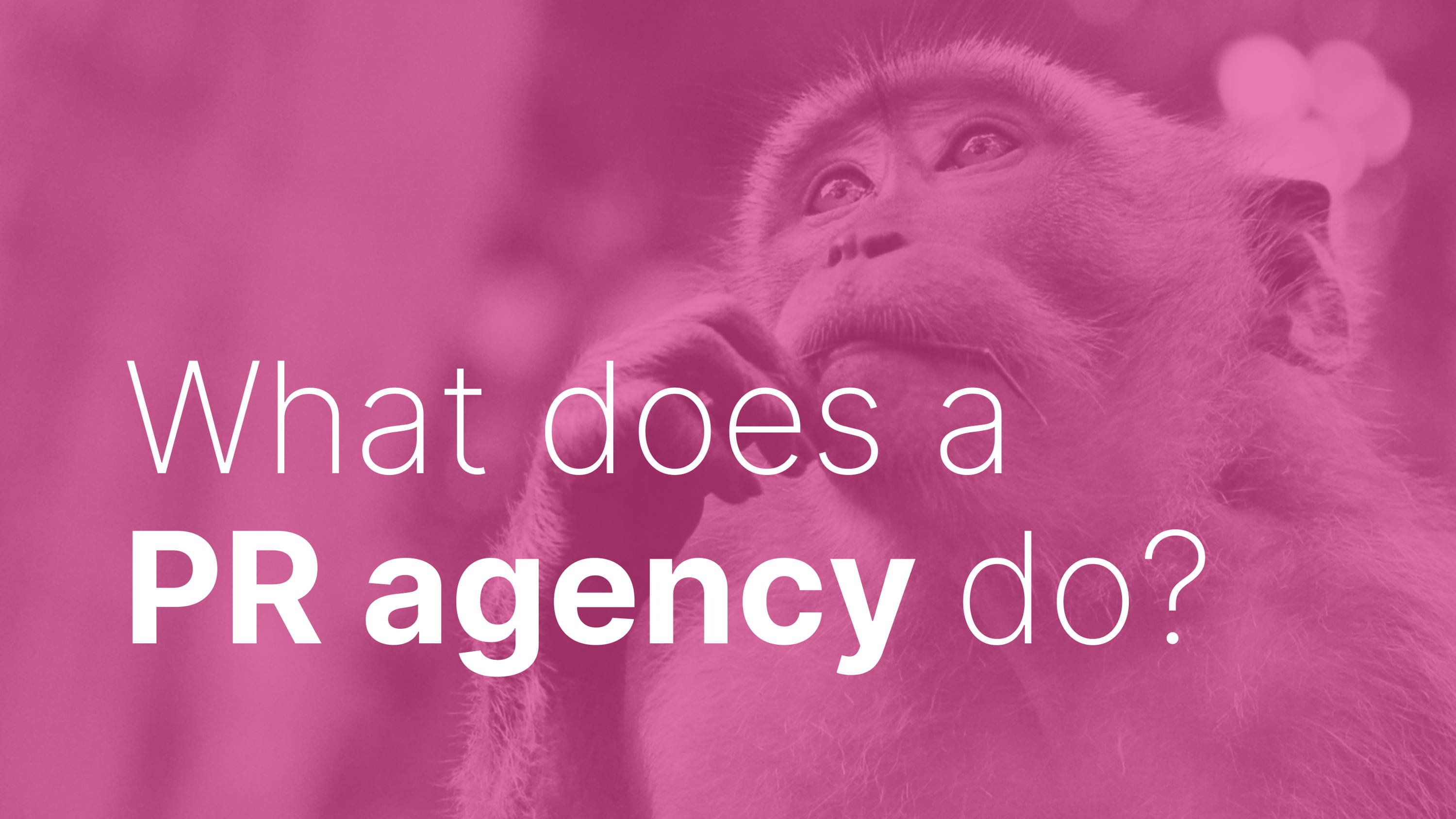 What Does a Public Relations (PR) Agency Do? Explained