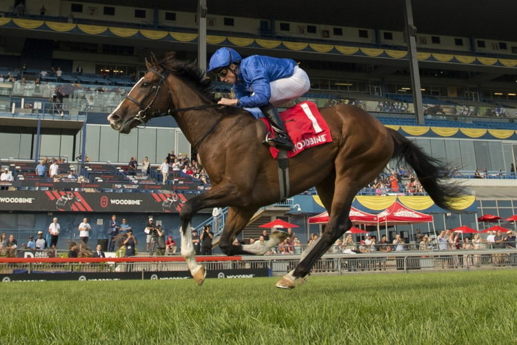 Mysterious Night (IRE) winning the Pattinson Summer Stakes on Saturday at Woodbine (Michael Burns Photo)