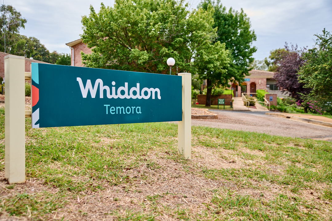 Whiddon Temora