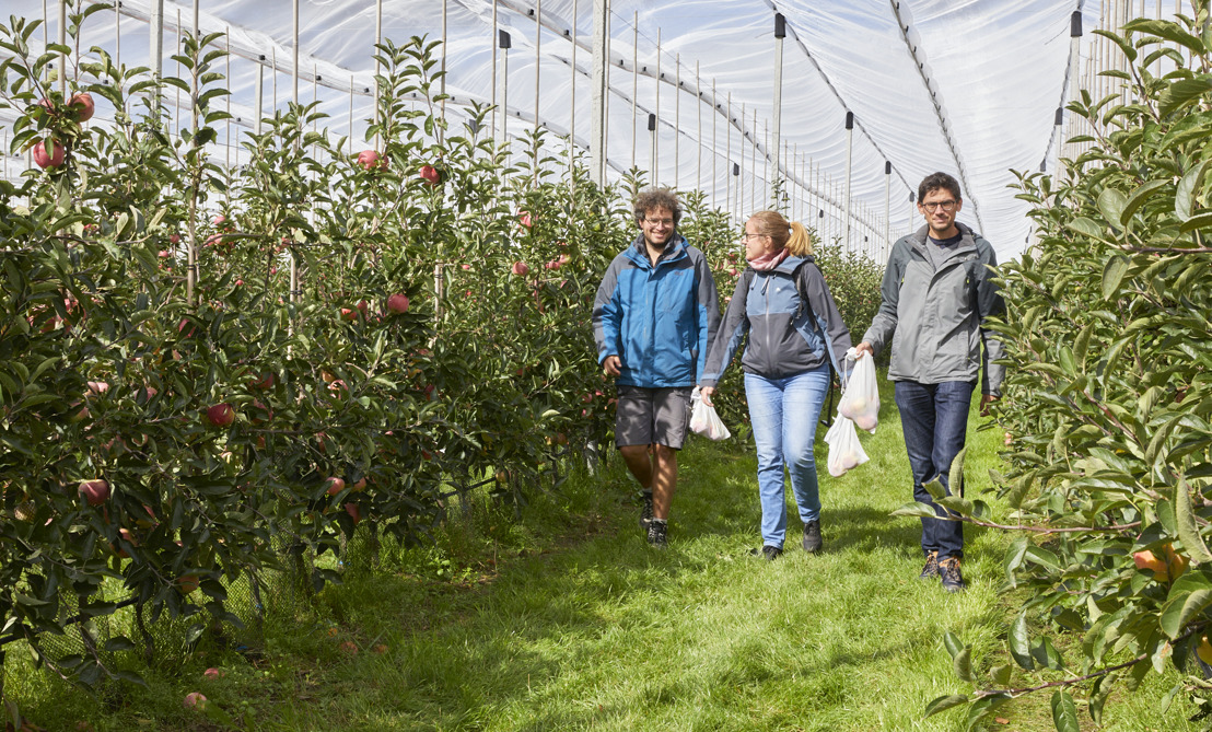 Colruyt Group and Wolfcarius join forces to organise an Apple Tour