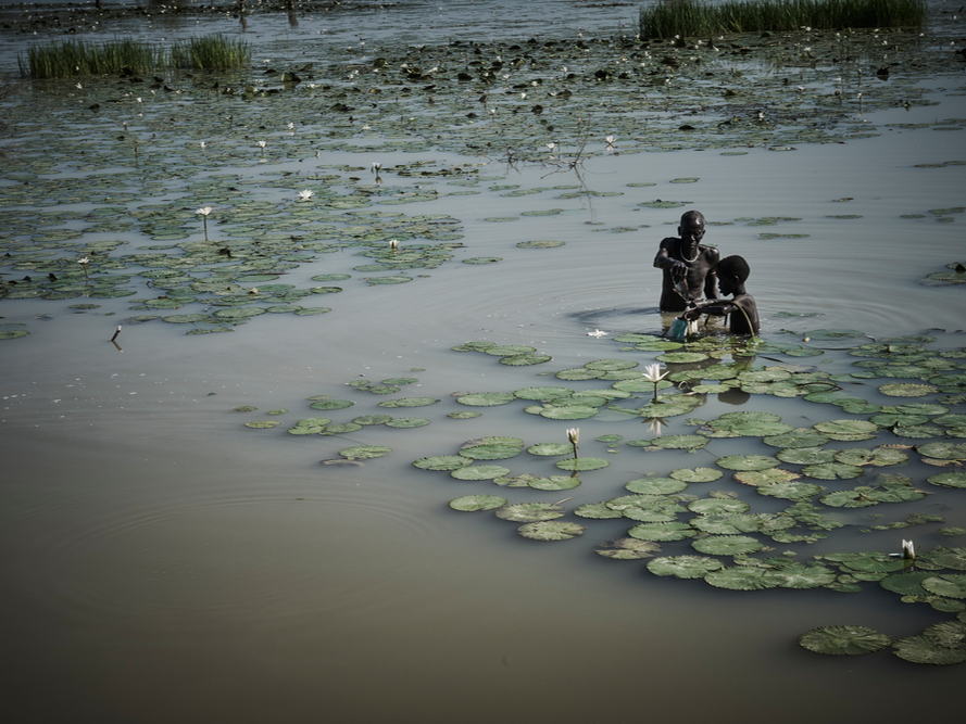 Cambio climático, conflictos armados y emergencias sanitarias, una combinación mortal