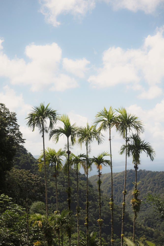 Martinique