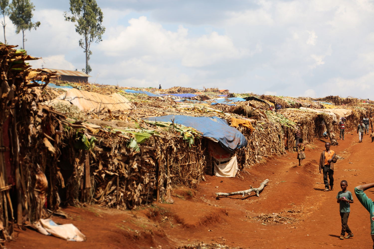 Thousands of people live in Chechele IDP camp, one of the largest sites near the small town of Banko Gotiti, in the Gedeo area of south Ethiopia. Copyright: Markus Boening/MSF