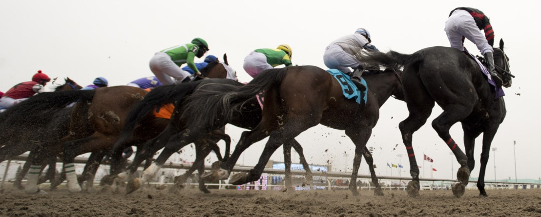 Woodbine’s 2021 Thoroughbred meet concludes with record closing day