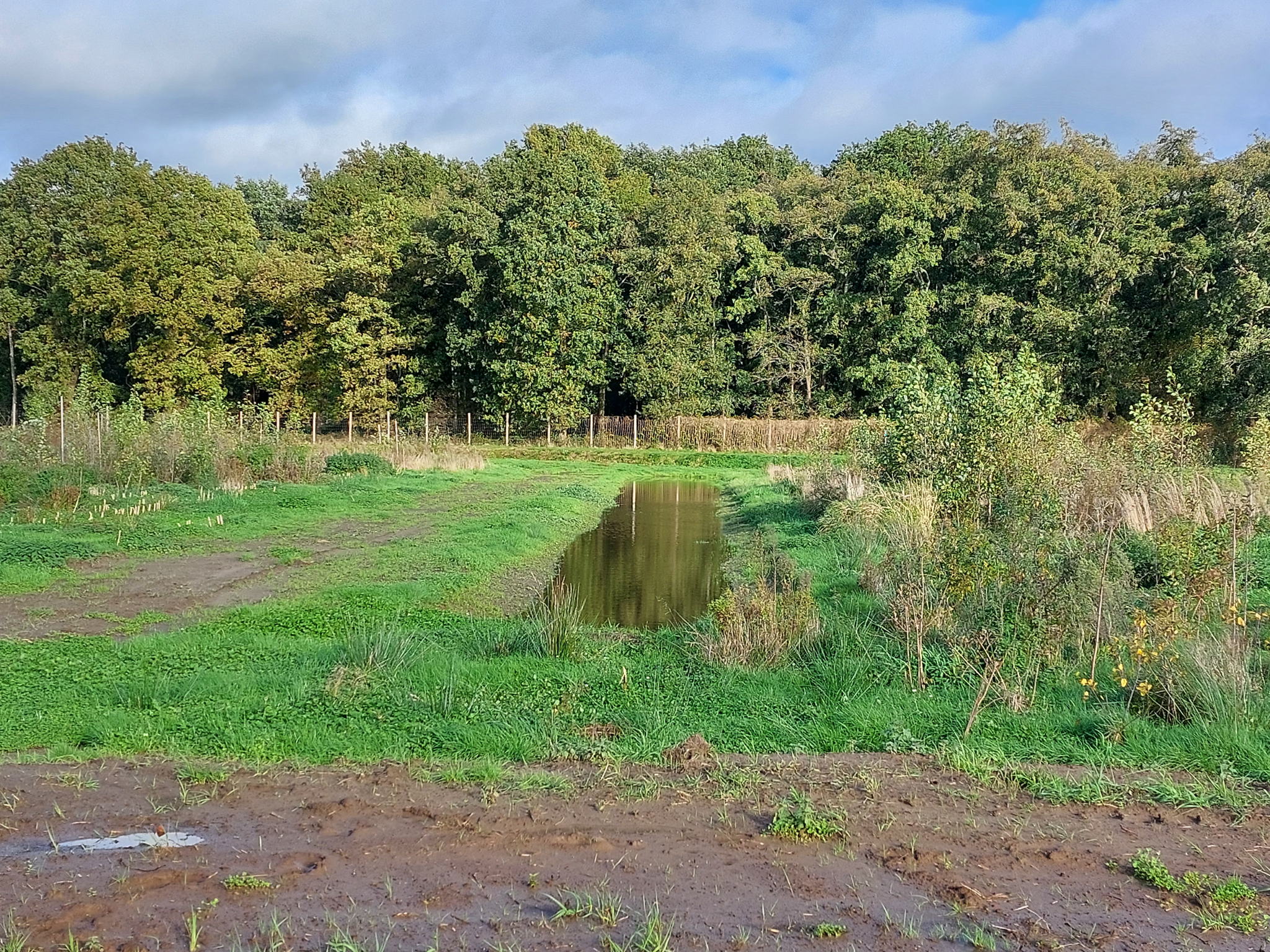 Laantjes zorgen voor meer reliëf en variatie in biotopen Laantjes zorgen voor meer reliëf en variatie in biotopen