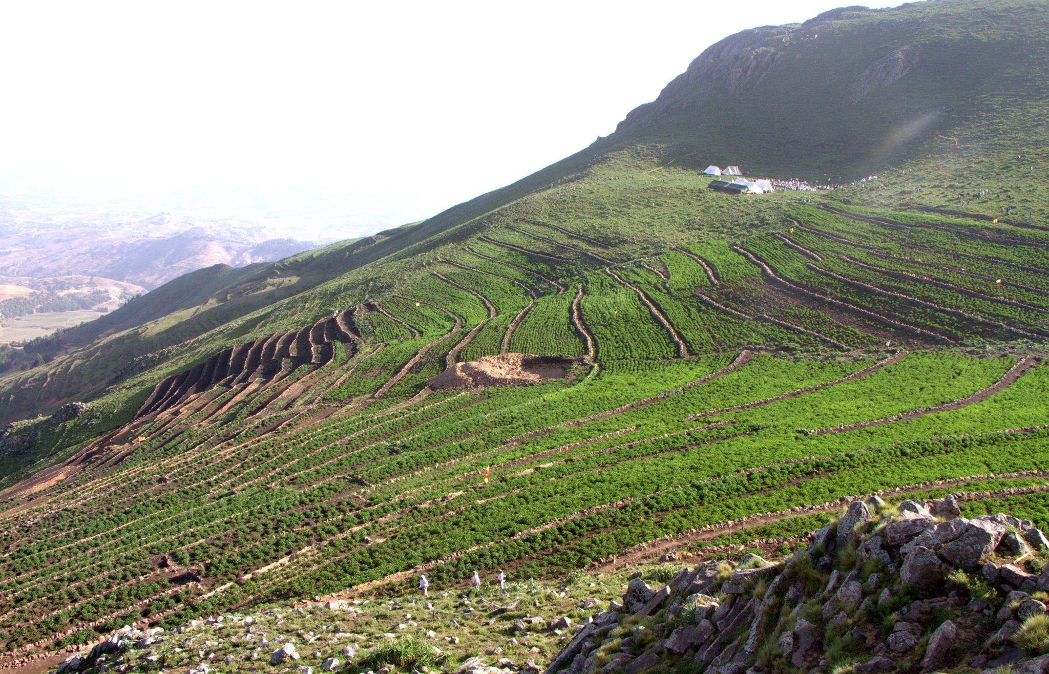 Exploring the Vital Role of Soil Health in Multifunctional Landscapes 