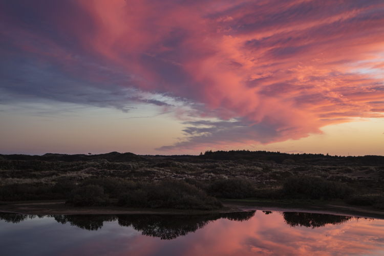 (c) Merk Fryslan
