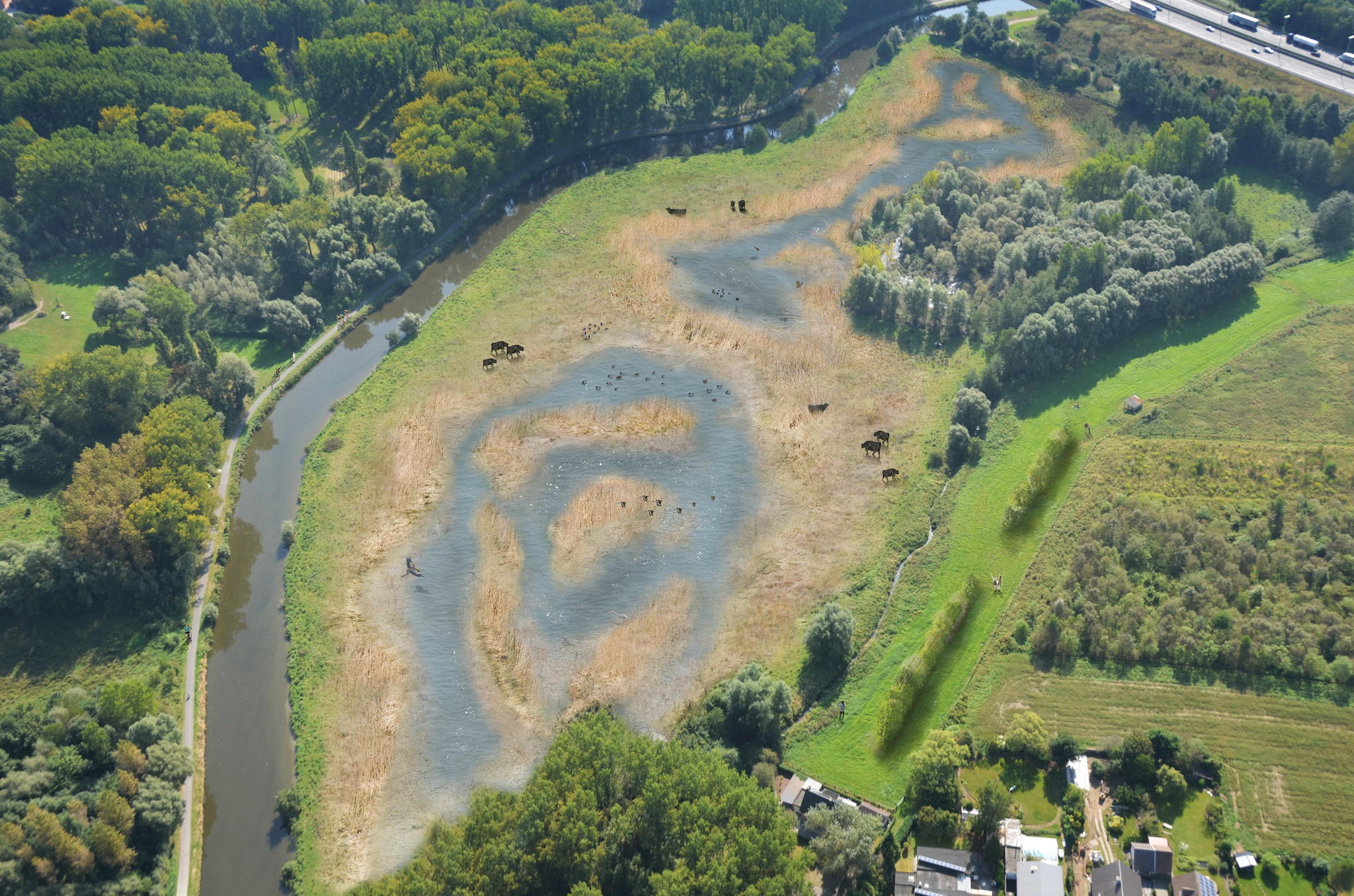 Toekomstbeeld van de moeraszone in het noorden van de Wellemeersen ​
©Vlaamse Landmaatschappij, Wout Fieu) ​