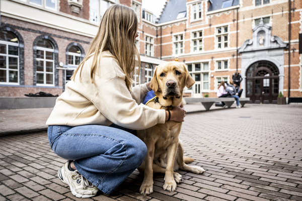 Sam, de eerste zorghond in Vlaanderen die kinderen en jongeren in de jeugdhulp ondersteunt