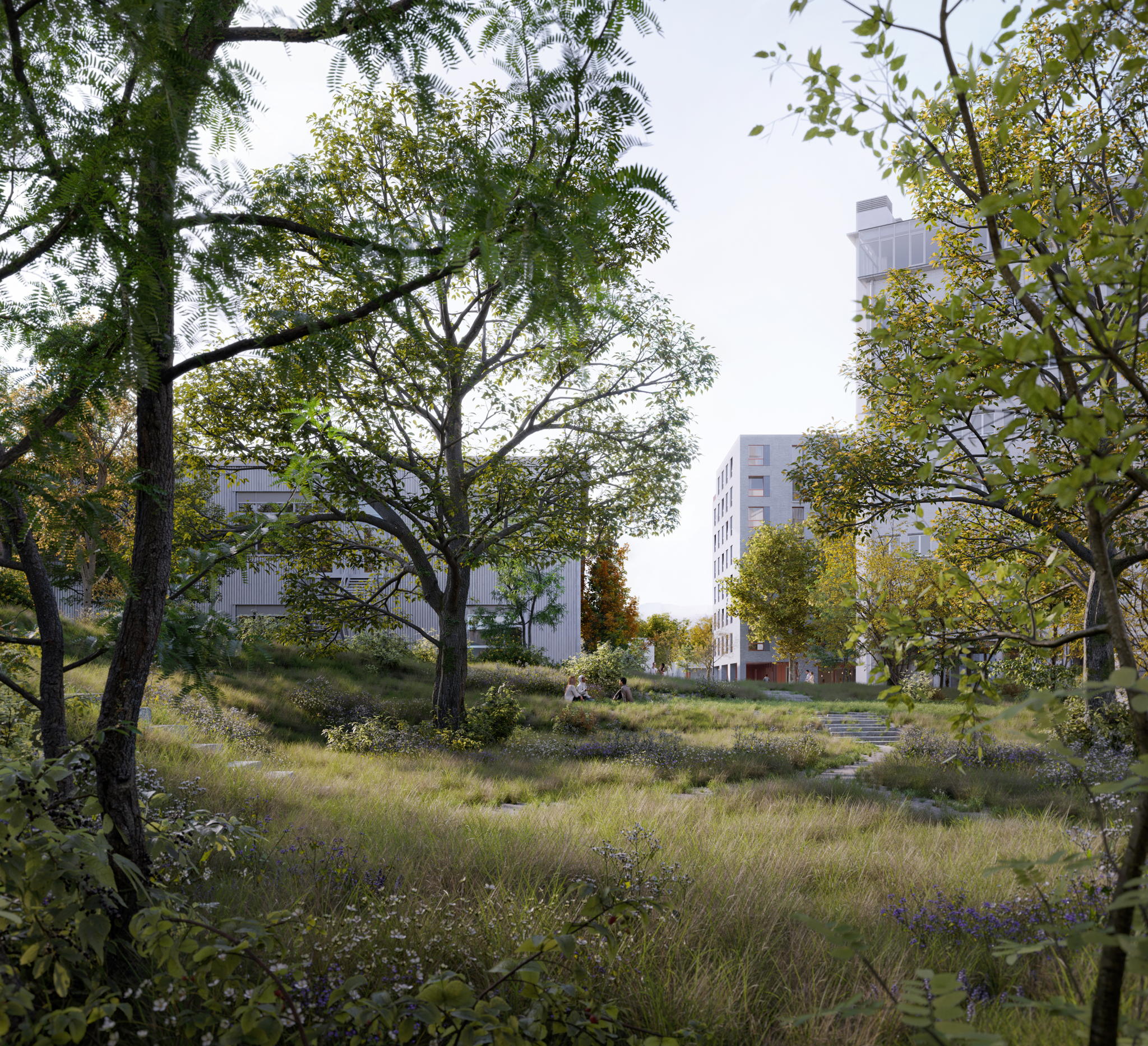 Op de site komt een groot publiek park. Op de site komt een groot publiek park.