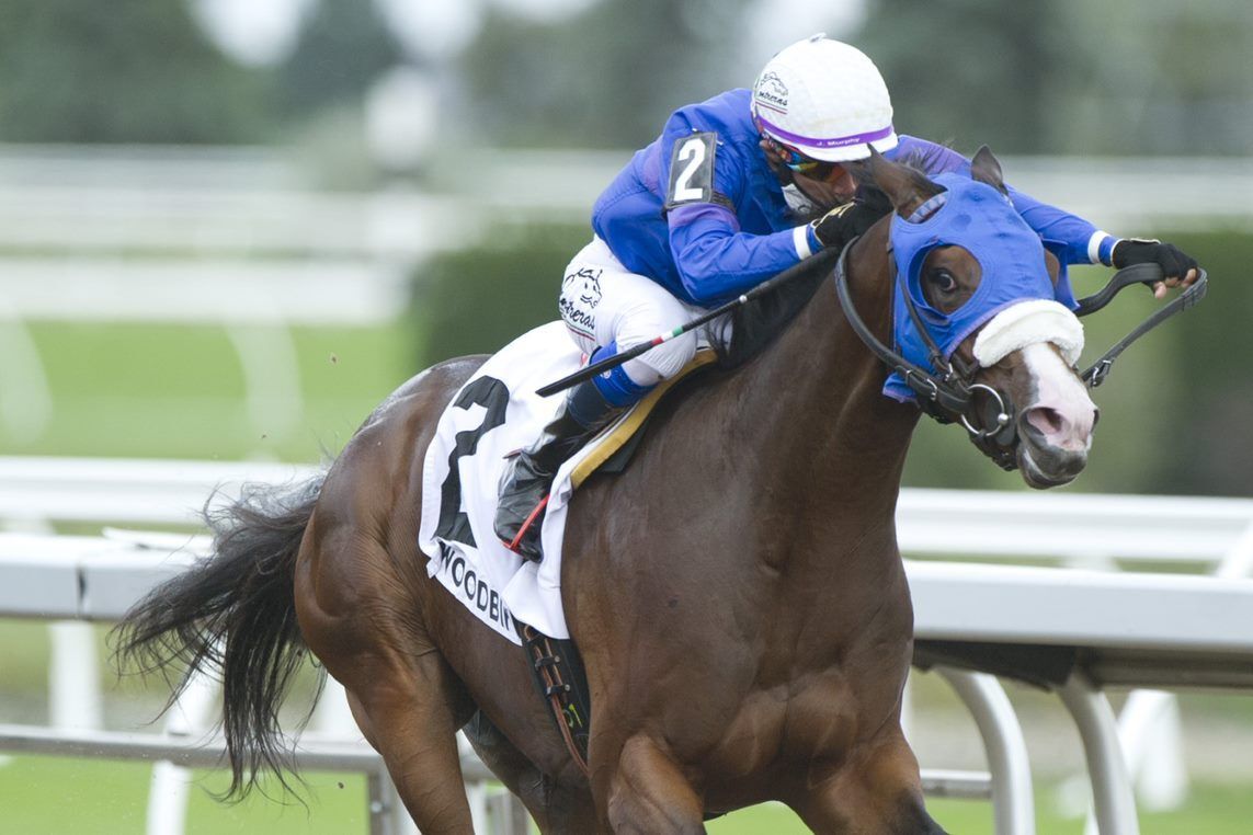 Gail Cox trainee Ready to Repeat winning the 2020 Victoria Stakes at Woodbine. (Michael Burns photo)