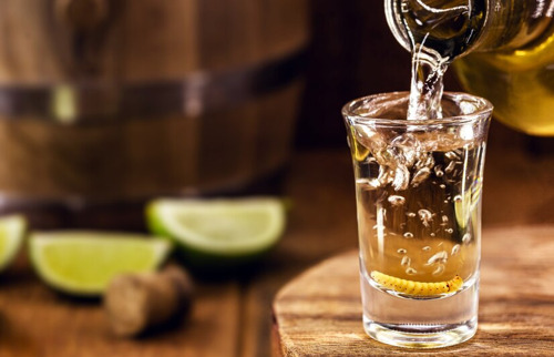 Licor de Tequila Gran Malo Spicy Tamarindo, el número uno en los carritos de compra de Mercado Libre