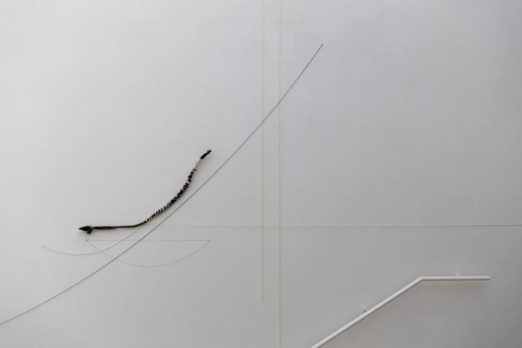 Minia Biabiany, Breathings of the Wind, 2021. Detail. Installation view at Z33 House for Contemporary Art, Design & Architecture, Hasselt, Belgium. Courtesy the artist. Photo: Selma Gurbuz.