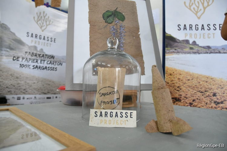 Stand featuring the treatment and transformation of sargassum in paper at SARG'EXPO