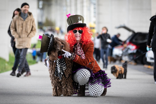 HALLOWEEN CAMERA OPP TODAY: Dog Costume Contest at The Bentway