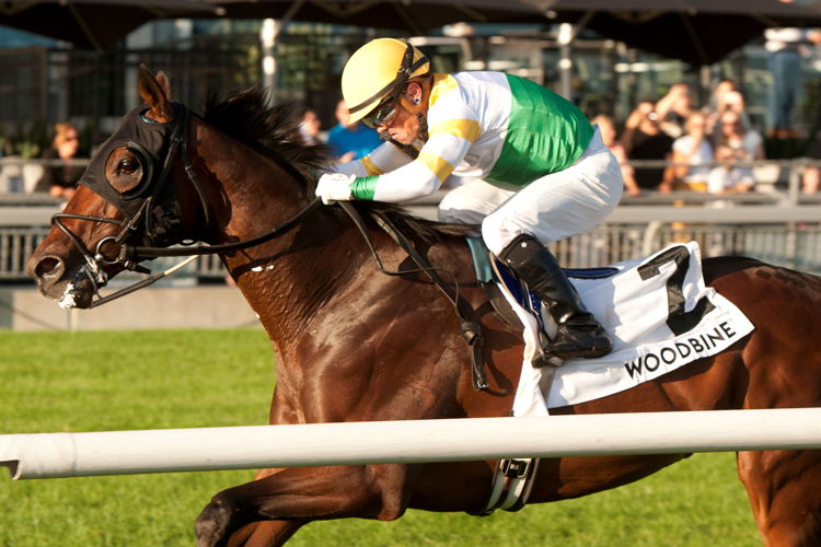 Roscar and jockey Justin Stein winning the Breeders' Stakes on September 29, 2024 at Woodbine (Michael Burns Photo)