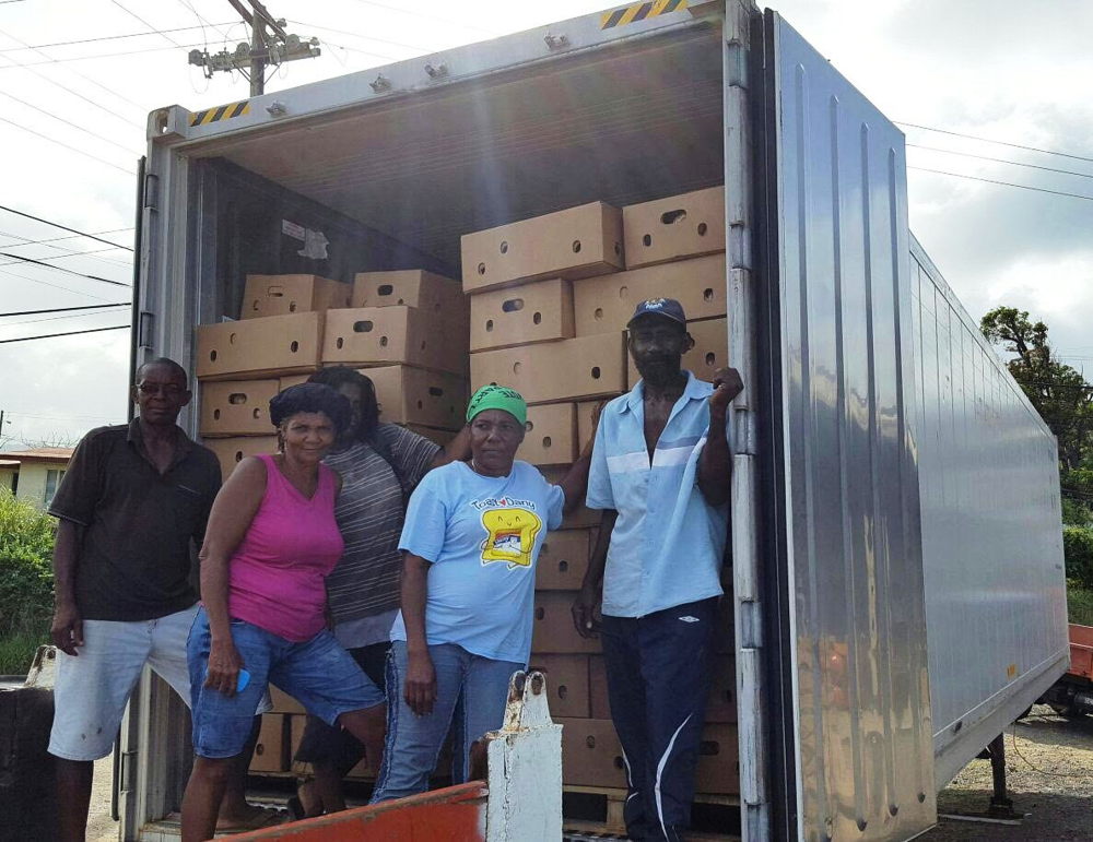 Farmers take a photo with completed container for export.
