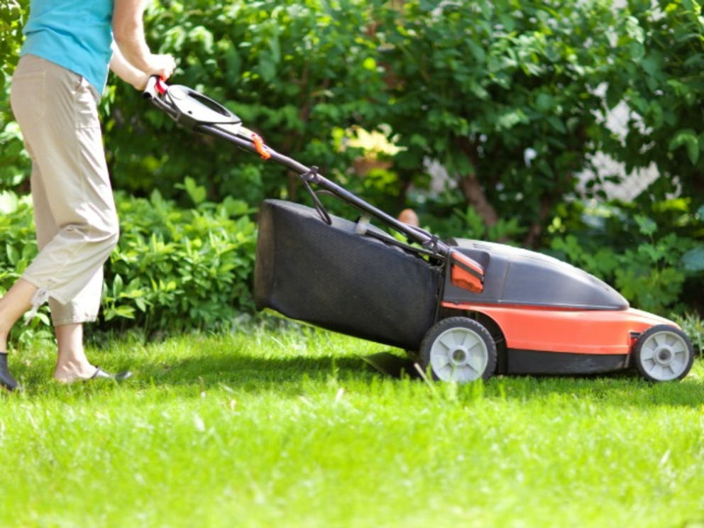 Do Cordless Electric Lawnmowers Make the Cut?