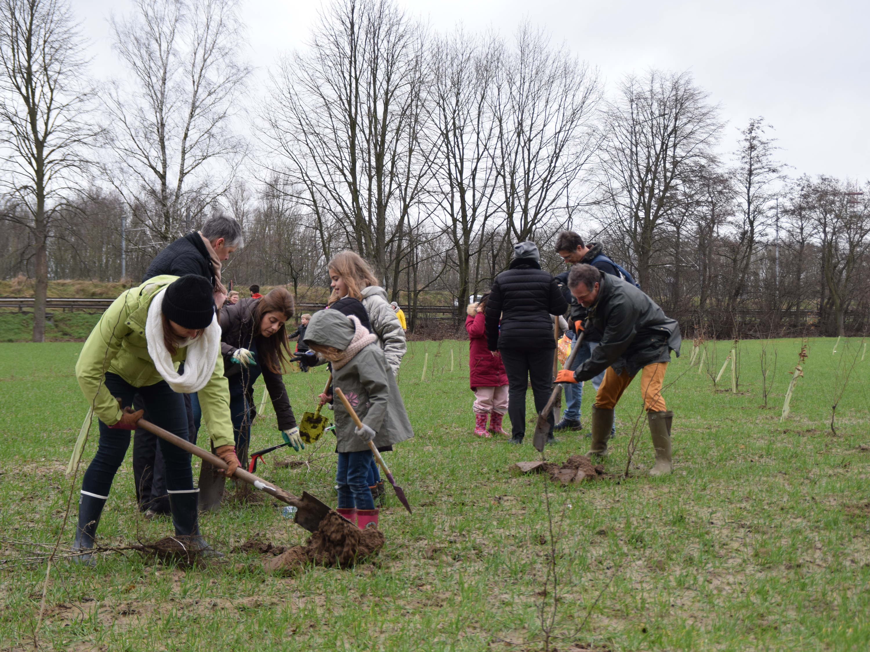 Les employés de Novartis étendent la forêt de Floordambos-Peutiebos avec 775 arbres