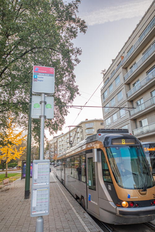 877A8429